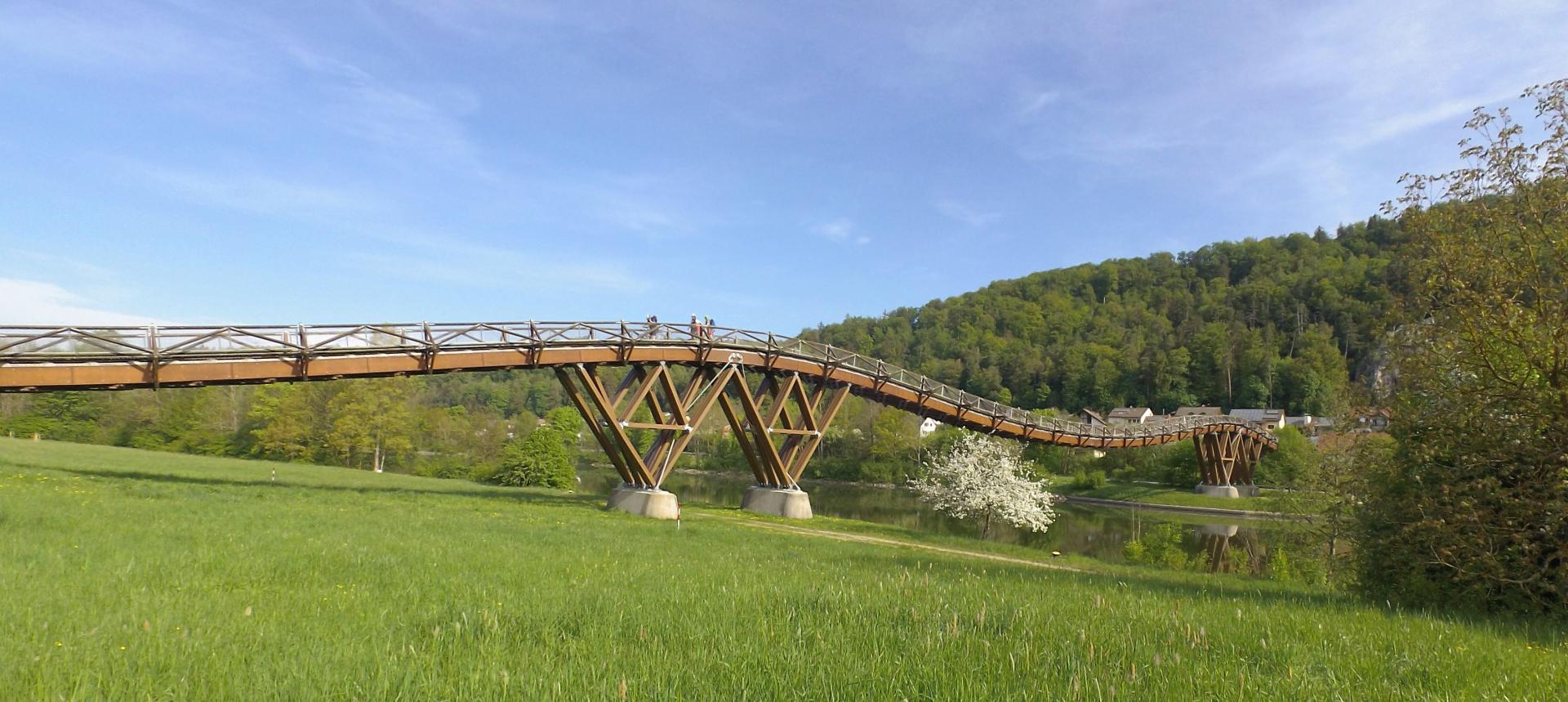 Tatzelwurm Brücke Essing