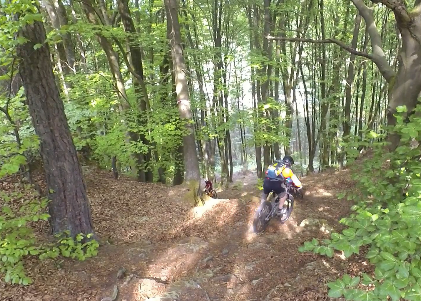 Jurasteig Downhill