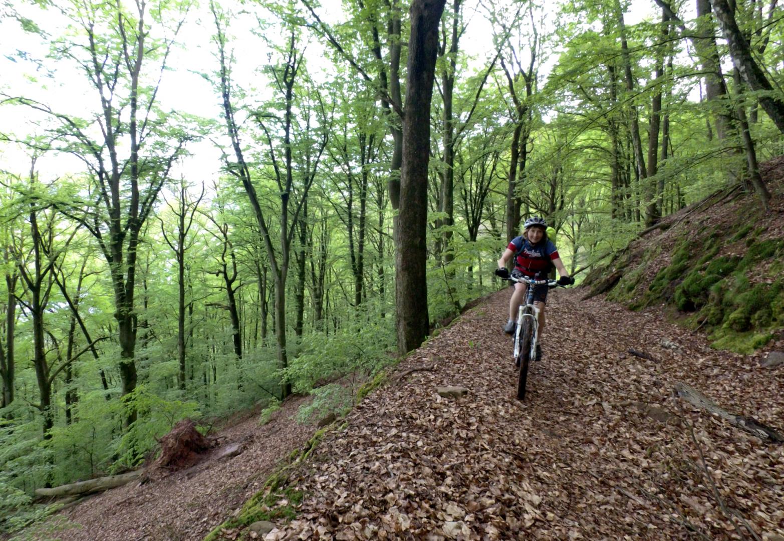 Panoramaweg oberhalb des Mains