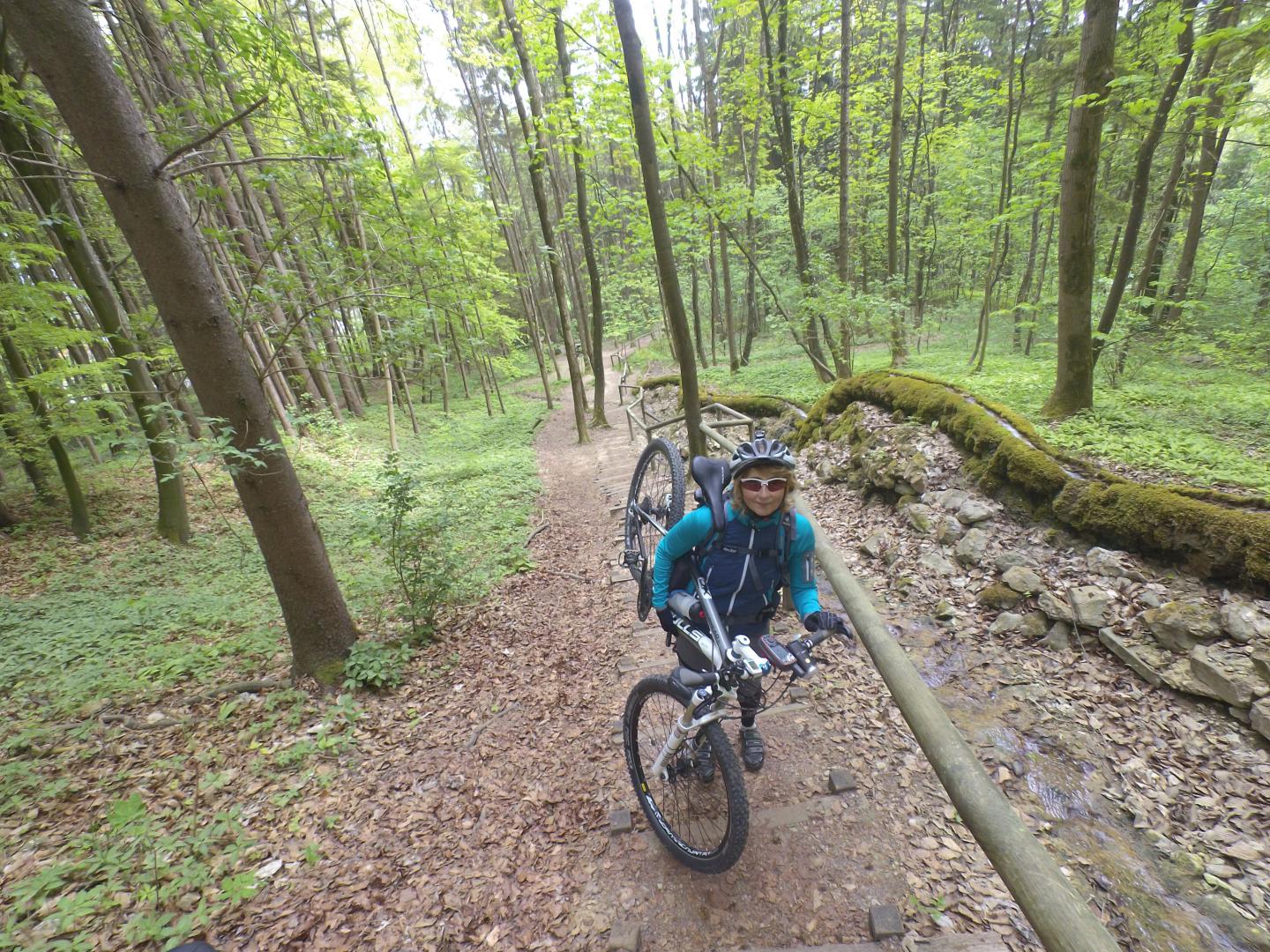 Steinerne Rinne bei Wolfsbronn