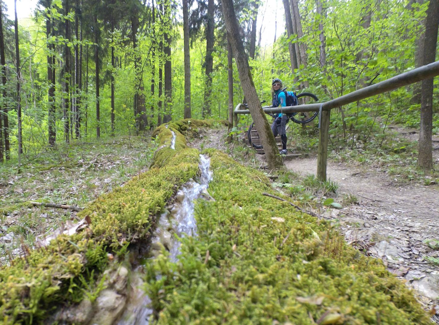 Steinerne Rinne bei Wolfsbronn