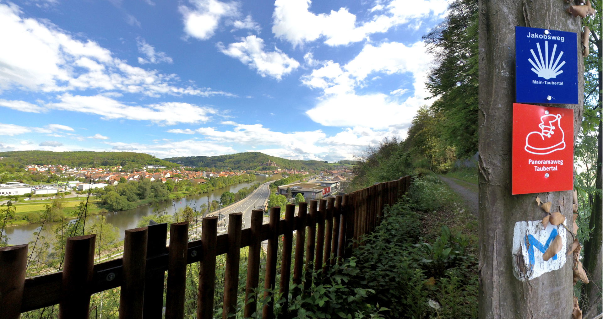 Blick zurück auf Wertheim